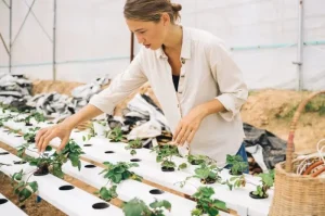 5 Ide Bisnis Ramah Lingkungan untuk Masa Depan yang Lebih Baik