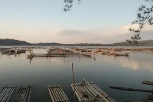 Rowo Jombor, Destinasi Wisata Alam dan Kuliner Apung yang Memesona di Klaten