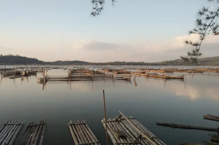 Rowo Jombor, Destinasi Wisata Alam dan Kuliner Apung yang Memesona di Klaten