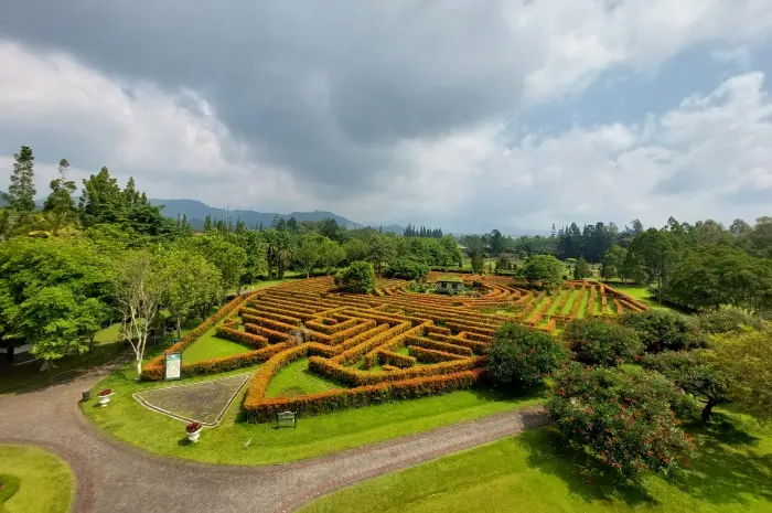 Taman Bunga Nusantara, Destinasi Wisata Hits di Cianjur untuk Liburan Keluarga