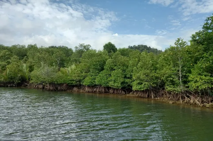 Wisata Bahari di Sumatera Barat yang Wajib Dikunjungi untuk Petualangan Seru